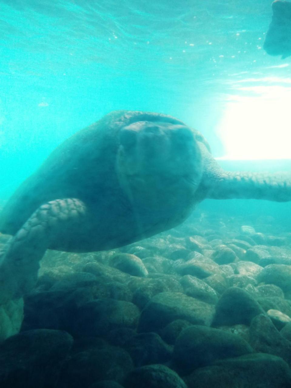 Lindas Suites A Uma Quadra Da Praia E Centro Ubatuba Buitenkant foto