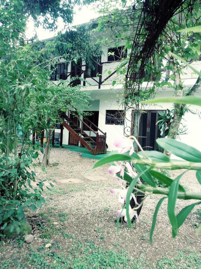 Lindas Suites A Uma Quadra Da Praia E Centro Ubatuba Buitenkant foto